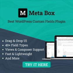Meta Box